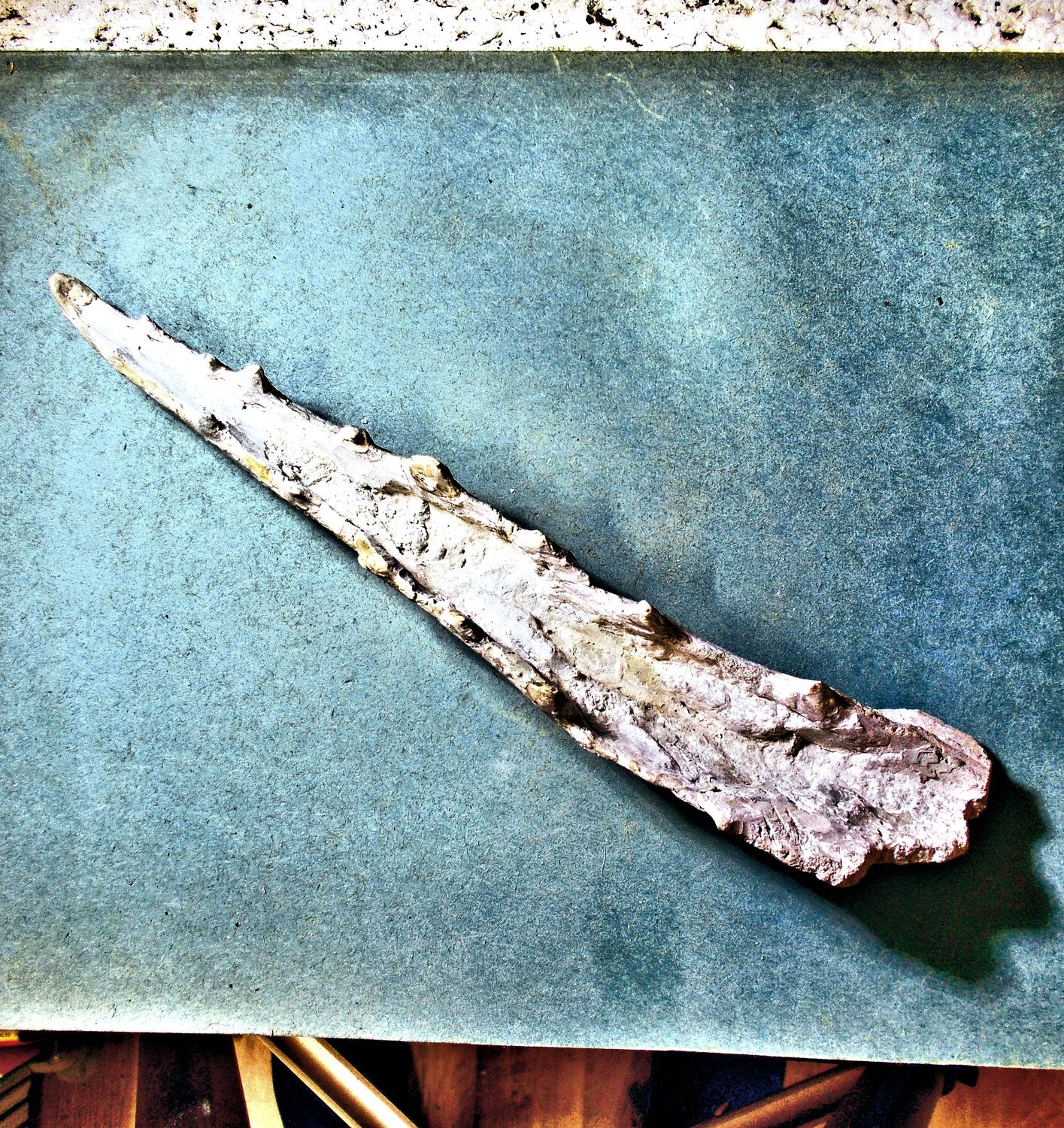 Rare 22.5cm complete mandible of Odontopteryx, 'pseudo-toothed bird' ; Late Cretaceous, Khorigba Phosphates, Morocco.