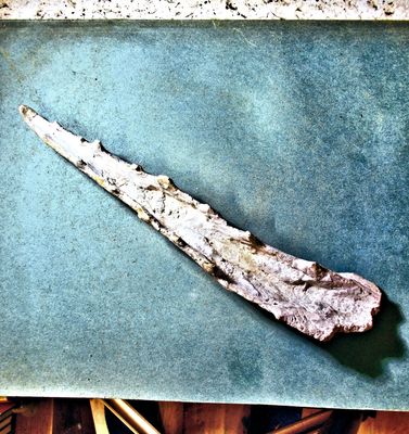 Rare 22.5cm complete mandible of Odontopteryx, 'pseudo-toothed bird' ; Late Cretaceous, Khorigba Phosphates, Morocco. Rare 22.5cm complete mandible of Odontopteryx, 'pseudo-toothed bird' ; Late Cretaceous, Khorigba Phosphates, Morocco.