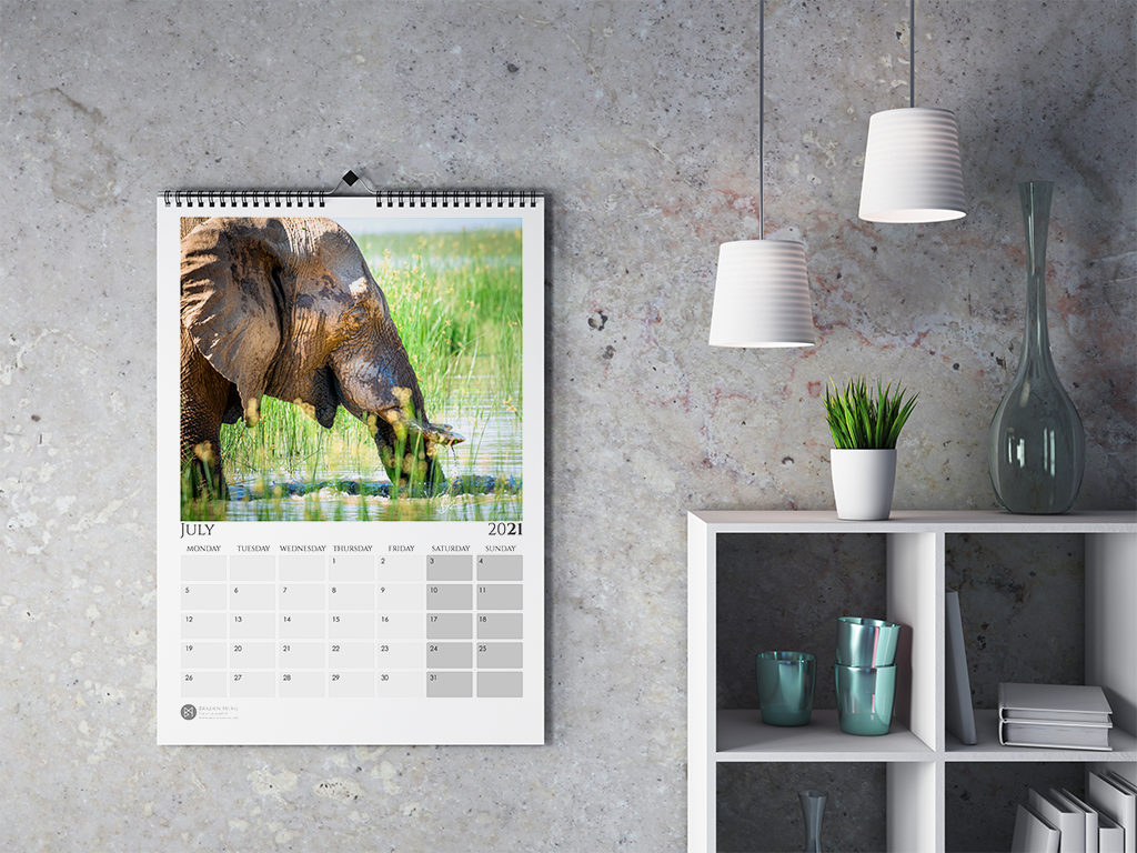 2021 Wildlife calendar