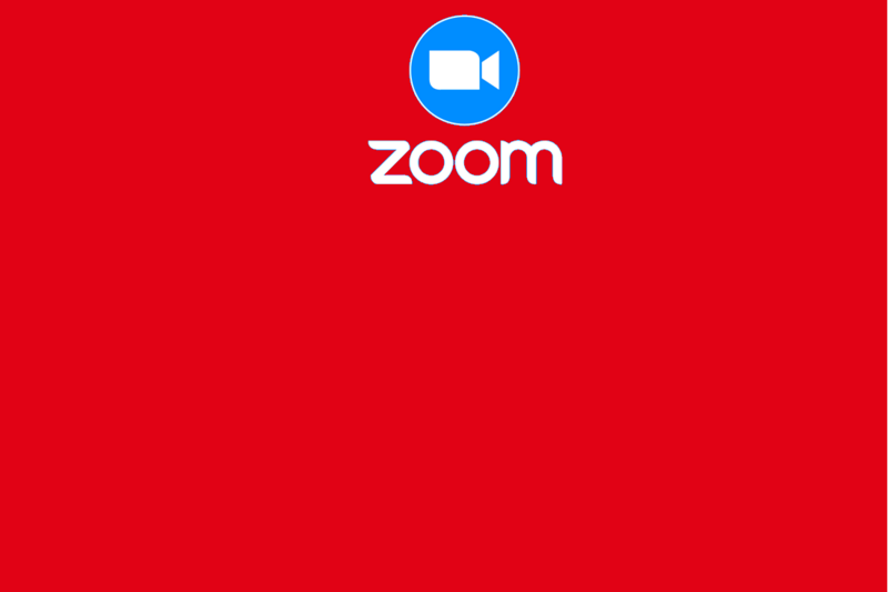 Meet us on Zoom