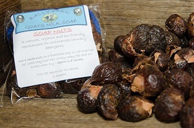 Soap Nuts - A Natural Detergent