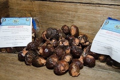 Soap Nuts 50g Sample Bag