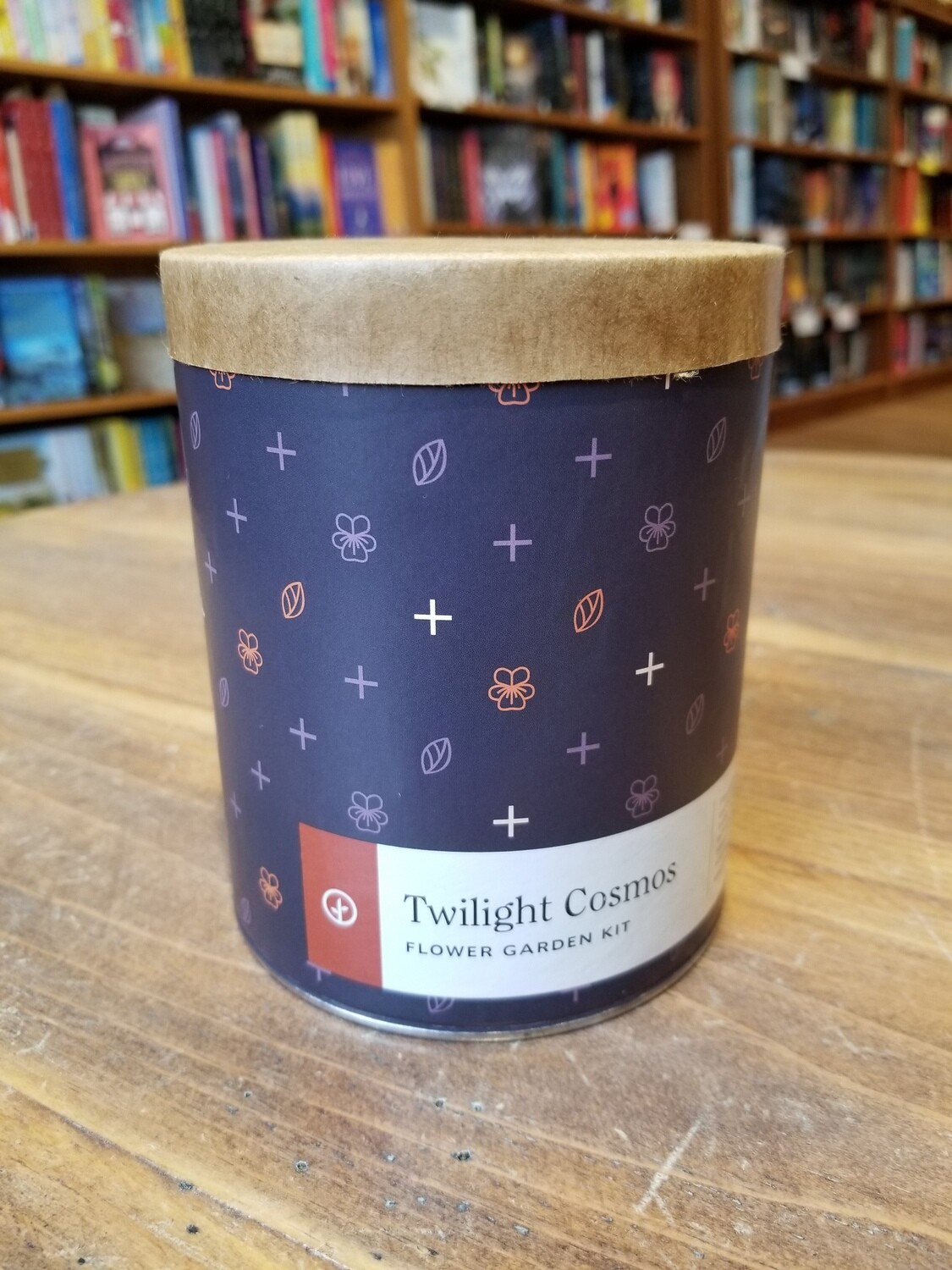 Twilight Cosmos Wax Planter - Indoor Garden Kit
