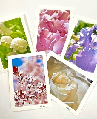 Photo Notecard Gift Pack C Floral