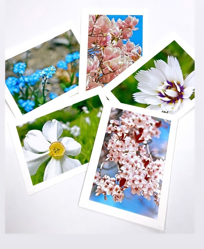 Photo Notecard Gift Pack A Floral