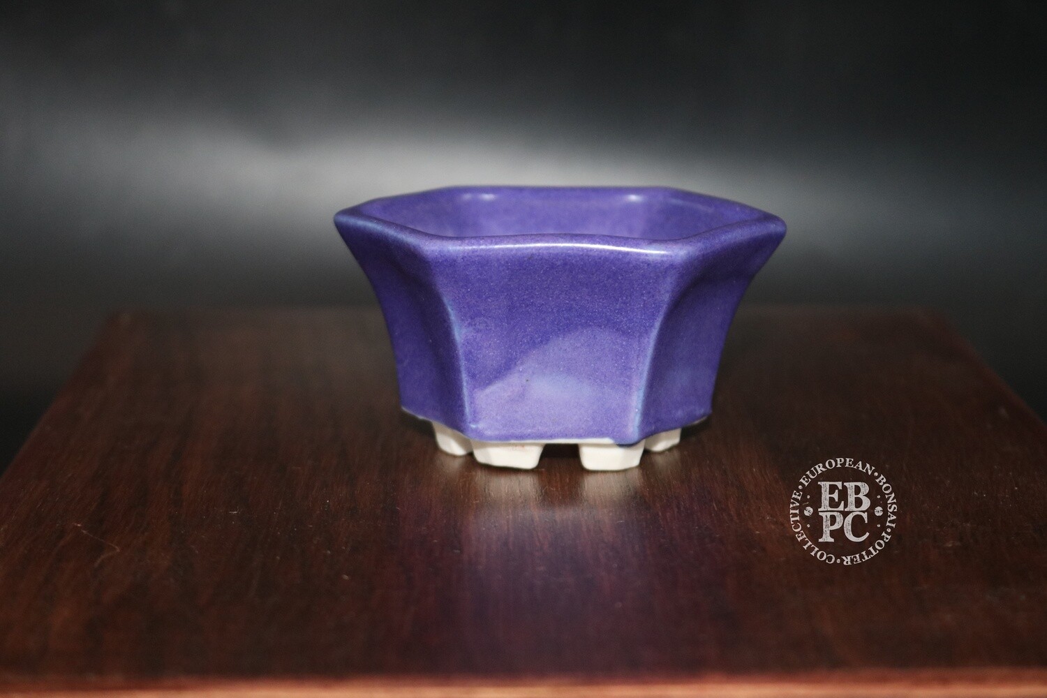 SOLD - Guerao Bonsai Pots; 7.4cm; Glazed; Hexagon; Mame; Accent; Purple glaze; Guerao Pot