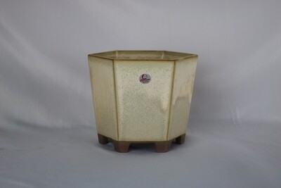 Willow Bonsai Pots.  14.2cm; Hexagonal; Semi Cascade; Cappuccino  Glaze; Cream; Light Blue; Made in South Africa.