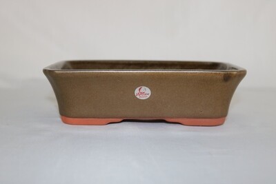 Willow Bonsai Pots.  18cm; Rectangle; Deeper Profile; 'Dark Honey' Glaze; Subtle Lip Design; Shohin + Size; Made in South Africa.