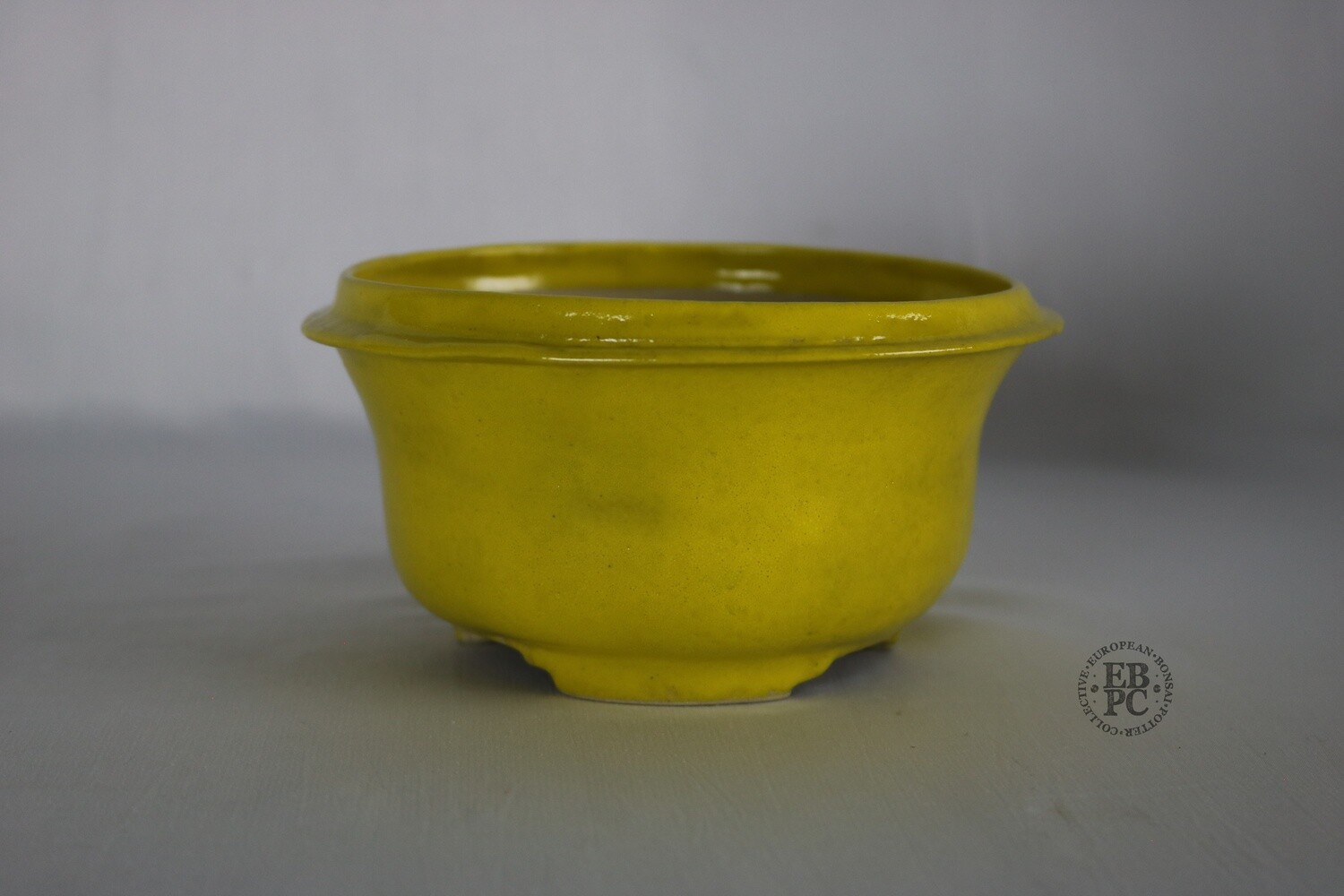 Amdouni Bonsai Pots - 13.8cm; Round; Shohin-Sized; Clean Glaze; Yellow; Carved Feet; Sami Amdouni.