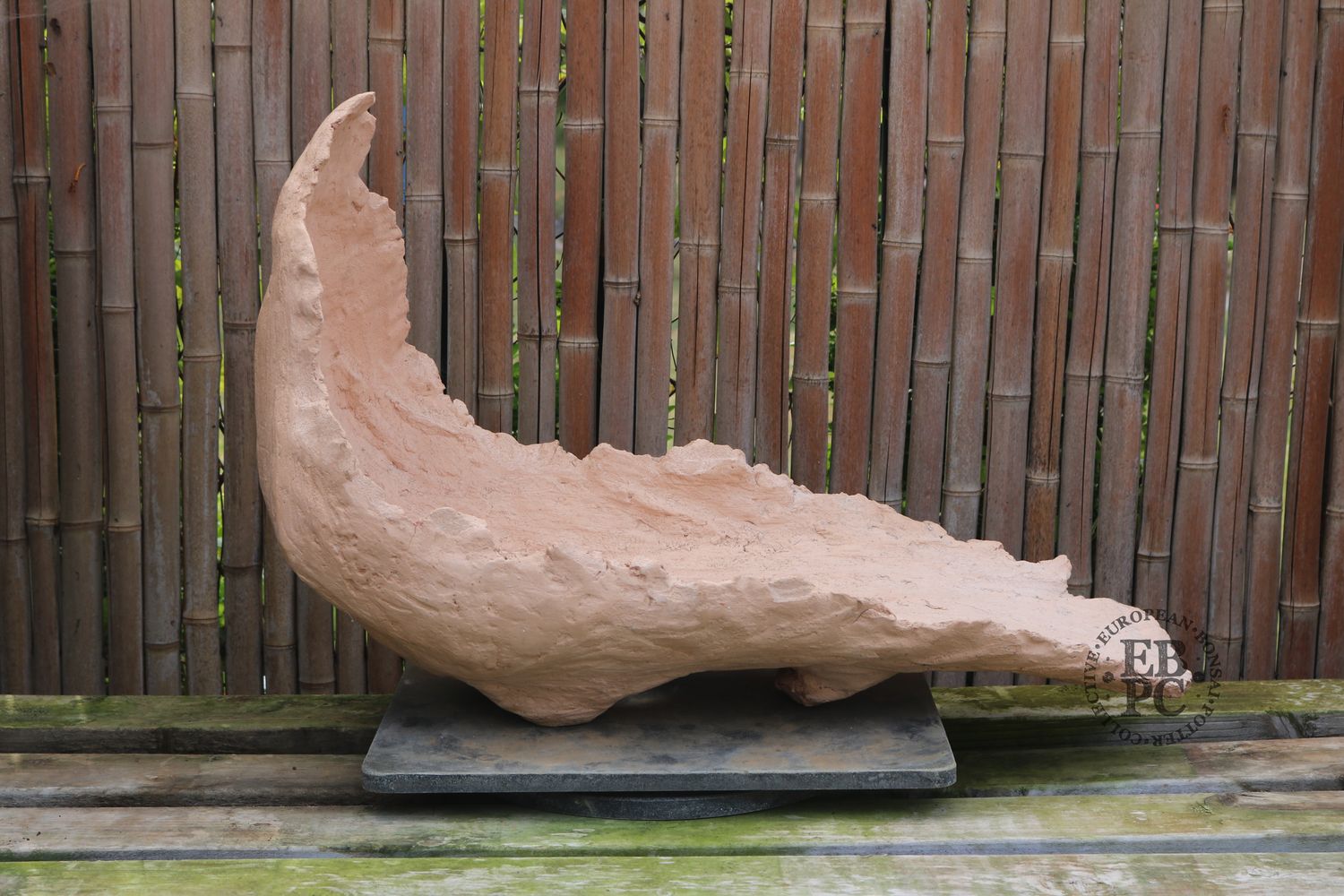 Derek Aspinall, England  - 67.5cm; Crescent Style; Cascade Shell; Unglazed; Bisque Fired; Sculpted Feet; Stamped by the artist.               - Selling for artist&#39;s family.