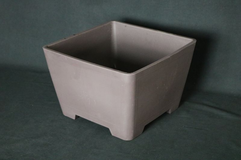 Medium Training Pot - 24.5cm; Made for Bonsai; Square; Plastic; Excellent Drainage; Tie Holes; Good Looking Training Pot.