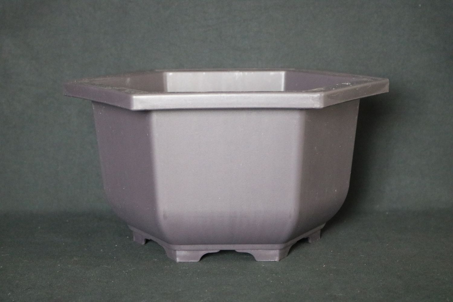 Medium Training Pot - 25cm; Made for Bonsai; Square; Plastic; Excellent Drainage; Tie Holes; Good Looking Training Pot.