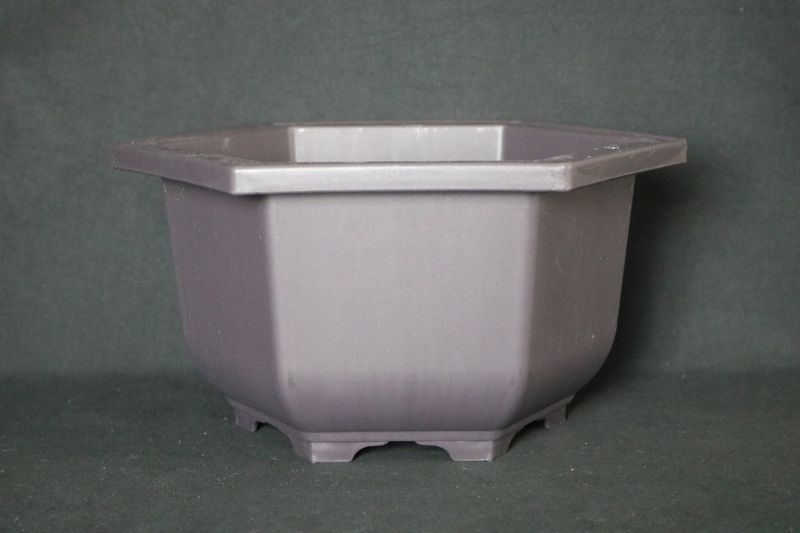 Medium Training Pot - 25cm; Made for Bonsai; Square; Plastic; Excellent Drainage; Tie Holes; Good Looking Training Pot.
