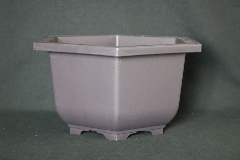 Medium Training Pot - 25cm; Made for Bonsai; Square; Plastic; Excellent Drainage; Tie Holes; Good Looking Training Pot.