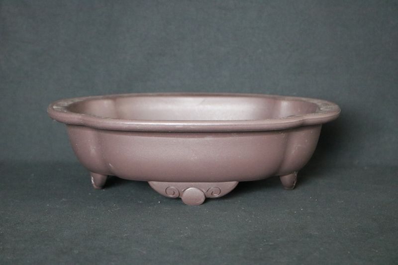 Medium Training Pot - 26.5cm; Made for Bonsai; Mokko Shaped; Plastic; Good Drainage; Tie Holes; Beautifully designed Training Pot.