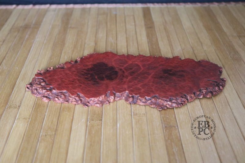 Ikigai Bonsai Stands  - Jitta / Bonsai Display Plate; 26cm; Handcrafted Display Stand; Red Mallee Burl; Refined Finish; Marked 'Ikigai'