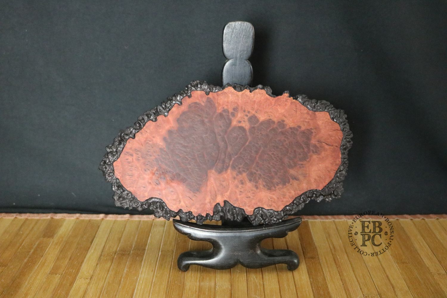 Ikigai Bonsai Stands  - Jitta / Bonsai Display Plate; 28.5cm; Handcrafted Display Stand; Brown Mallee Burl; Refined Finish; Marked 'Ikigai'