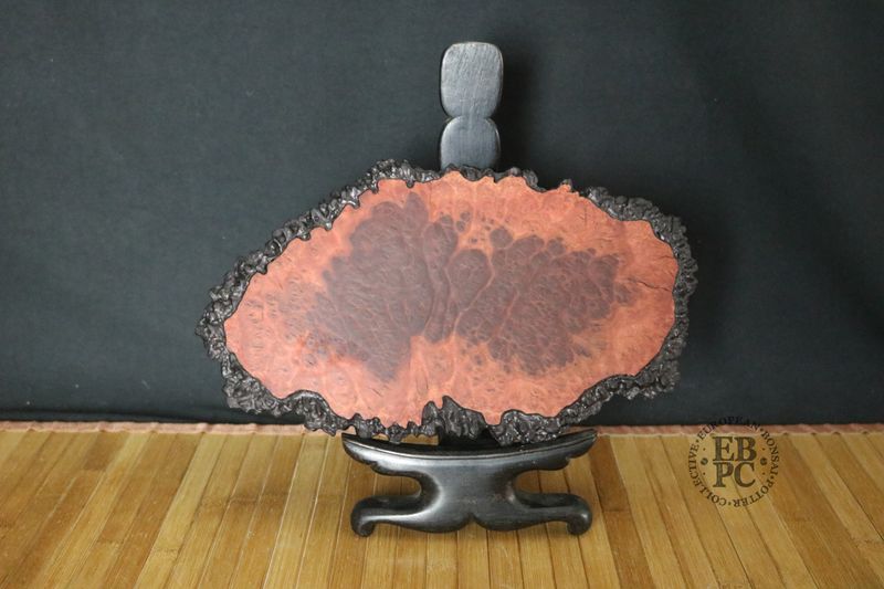 Ikigai Bonsai Stands  - Jitta / Bonsai Display Plate; 28.5cm; Handcrafted Display Stand; Brown Mallee Burl; Refined Finish; Marked 'Ikigai'