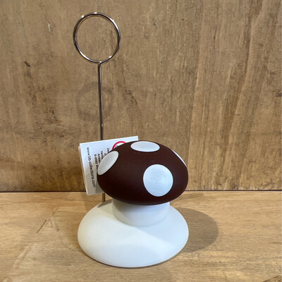 Pitou Bruin Fotoclip