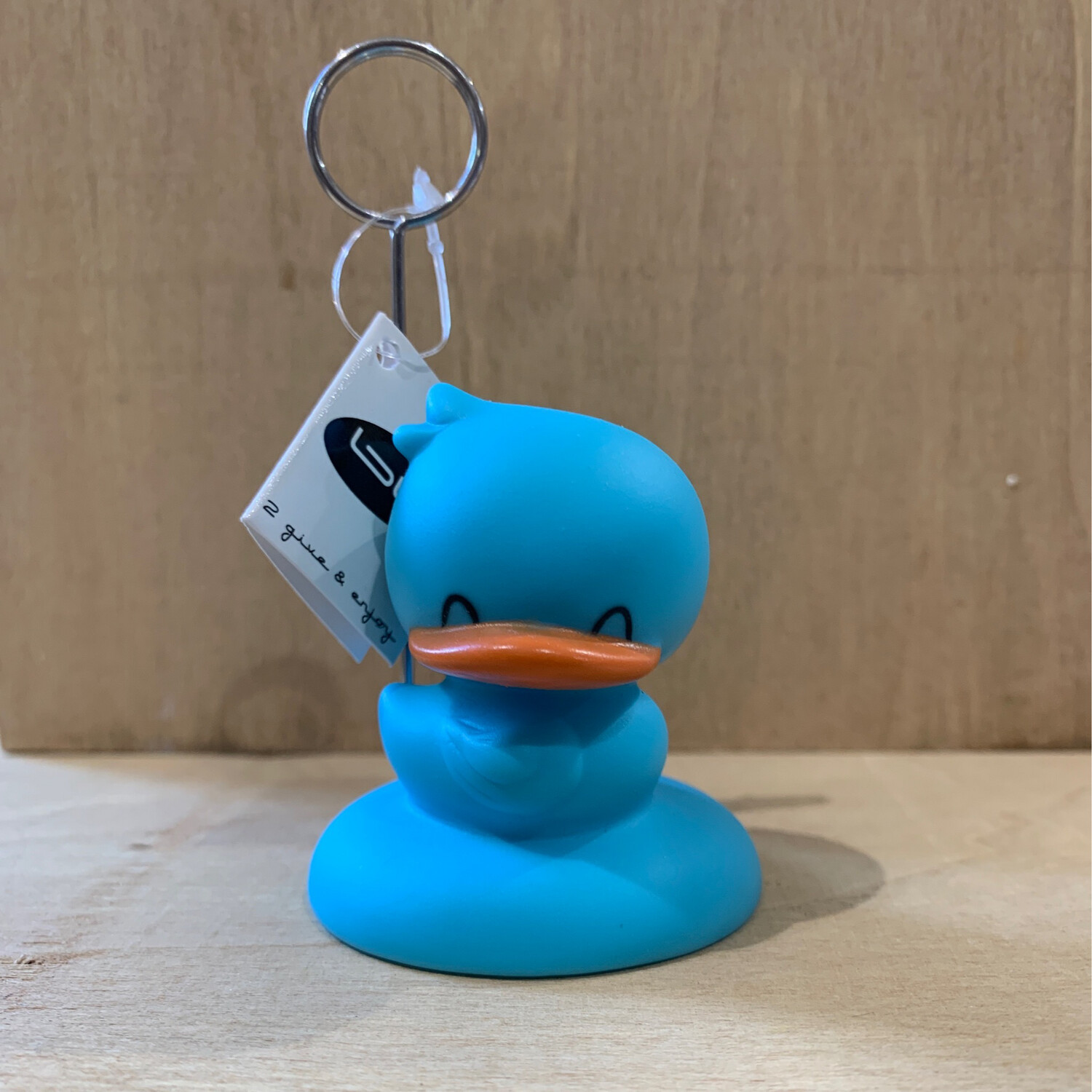 Duck Turkoois Fotoclip
