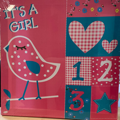Patchwork Canvas Its A Girl 30x30