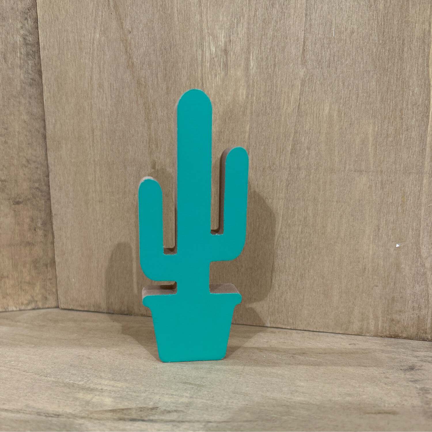 Miami Deco Cactus Groen 11 cm
