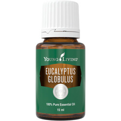 Natūralus Rutulinių Eukaliptų Eterinis aliejus / Eucalyptus Globulus Essential Oil (Young Living) 15 ml