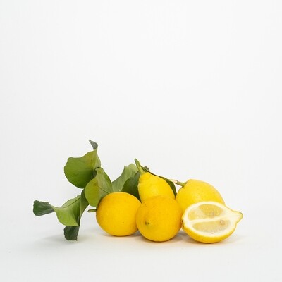 Limone Giallo BIO