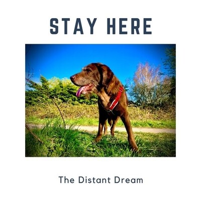 Stay Here - The Distant Dream