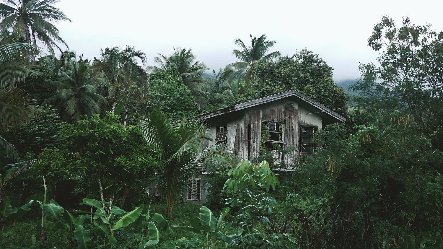 SOUTH AMERICA