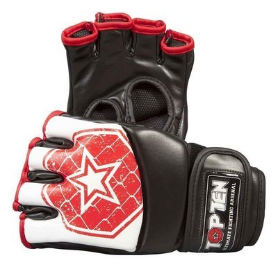 TOP TEN MMA - Ultimate-Fight-Handschuhe 
