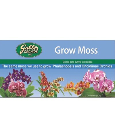 Gubler Orchids Grow Moss