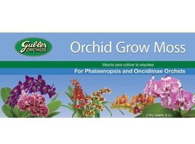 Orchid Grow Moss