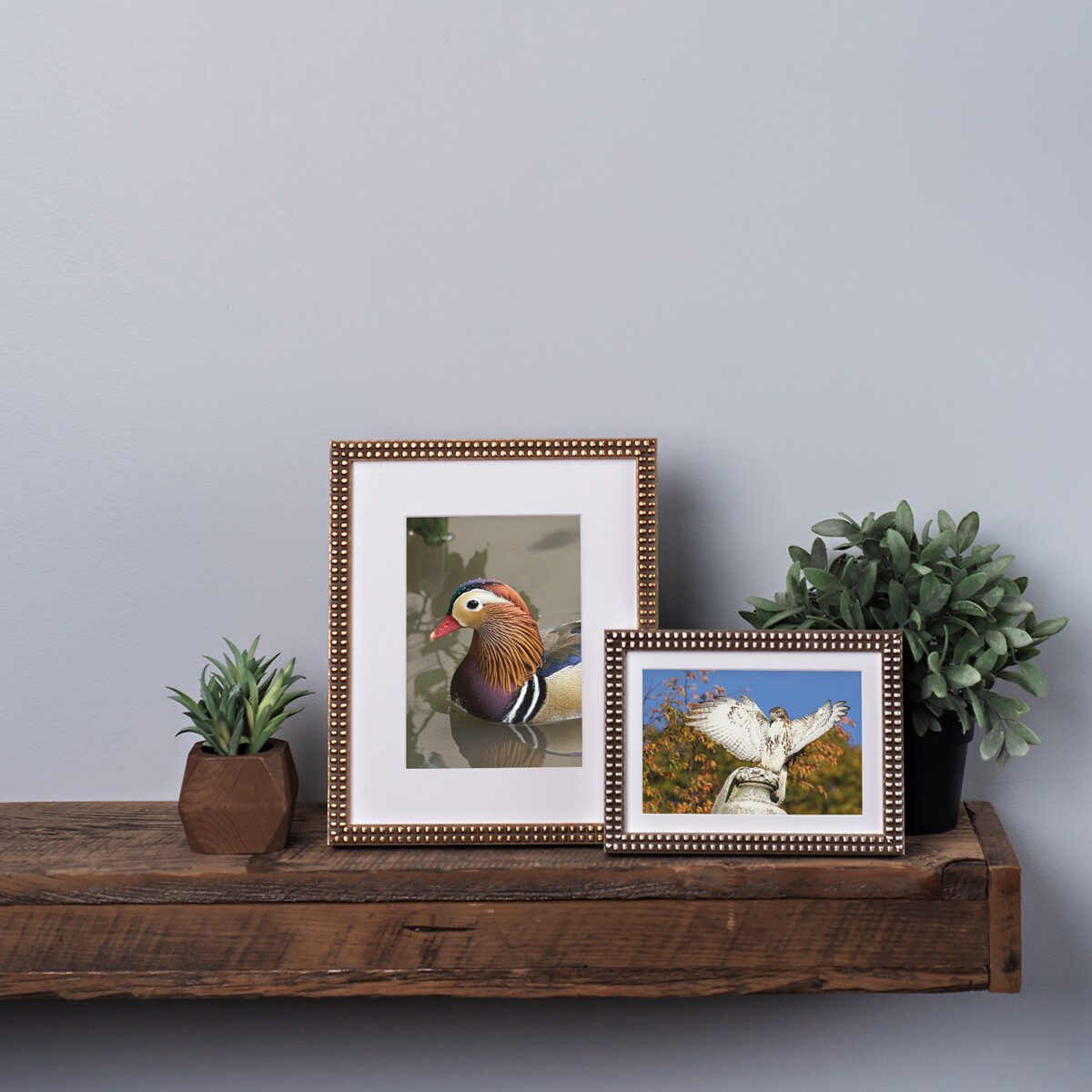 Mandarin Duck and Red-Tail Hawk Set Mandarin Duck and Red-Tail Hawk Set