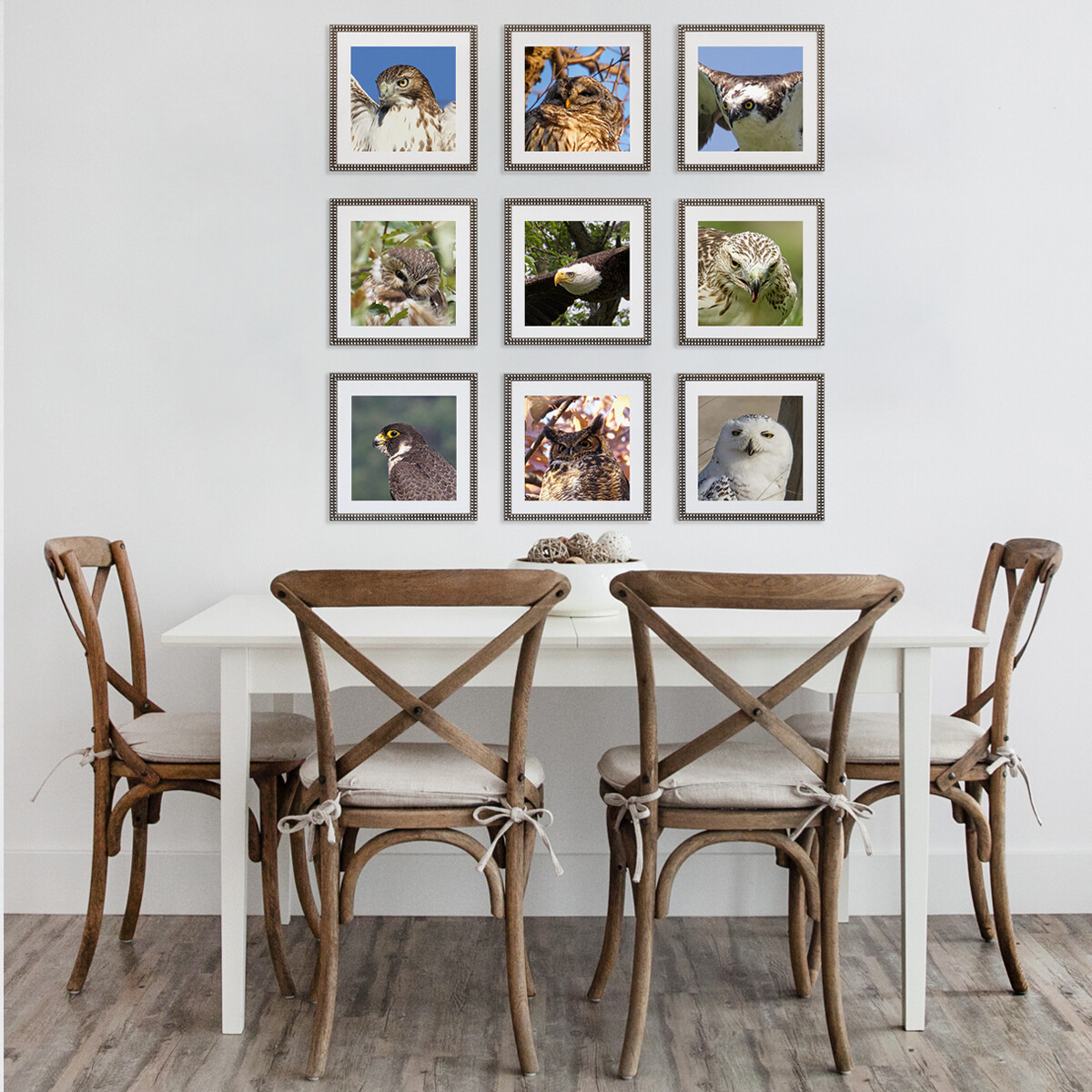 Portraits of Raptors of New York Set of 9 Portraits of Raptors of New York Set of 9