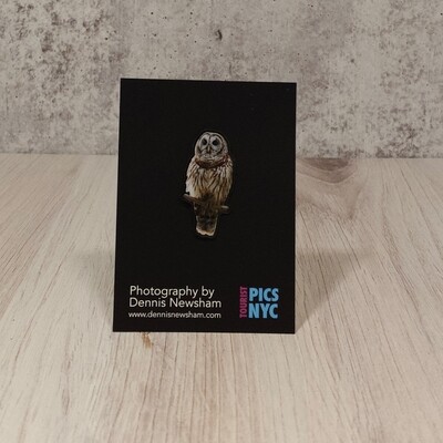 Metal Lapel Pin - Barred Owl