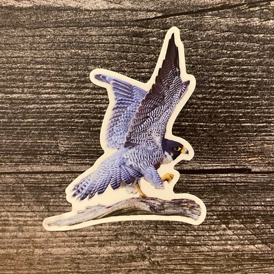 Sticker - Peregrine Falcon