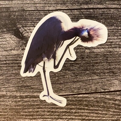 Sticker - Little Blue Heron