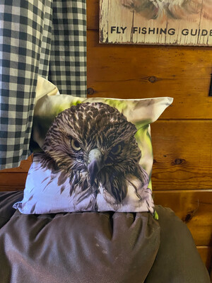 Pillow Cover - Red-tailed Hawk