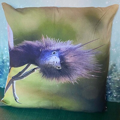 Pillow Cover - Little Blue Heron Pillow Cover - Little Blue Heron