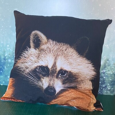 Pillow Cover - Raccoon