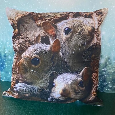 Pillow Cover - Family of Squirrels
