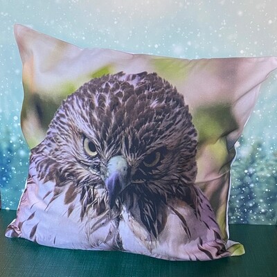 Pillow Cover - Red-tailed Hawk