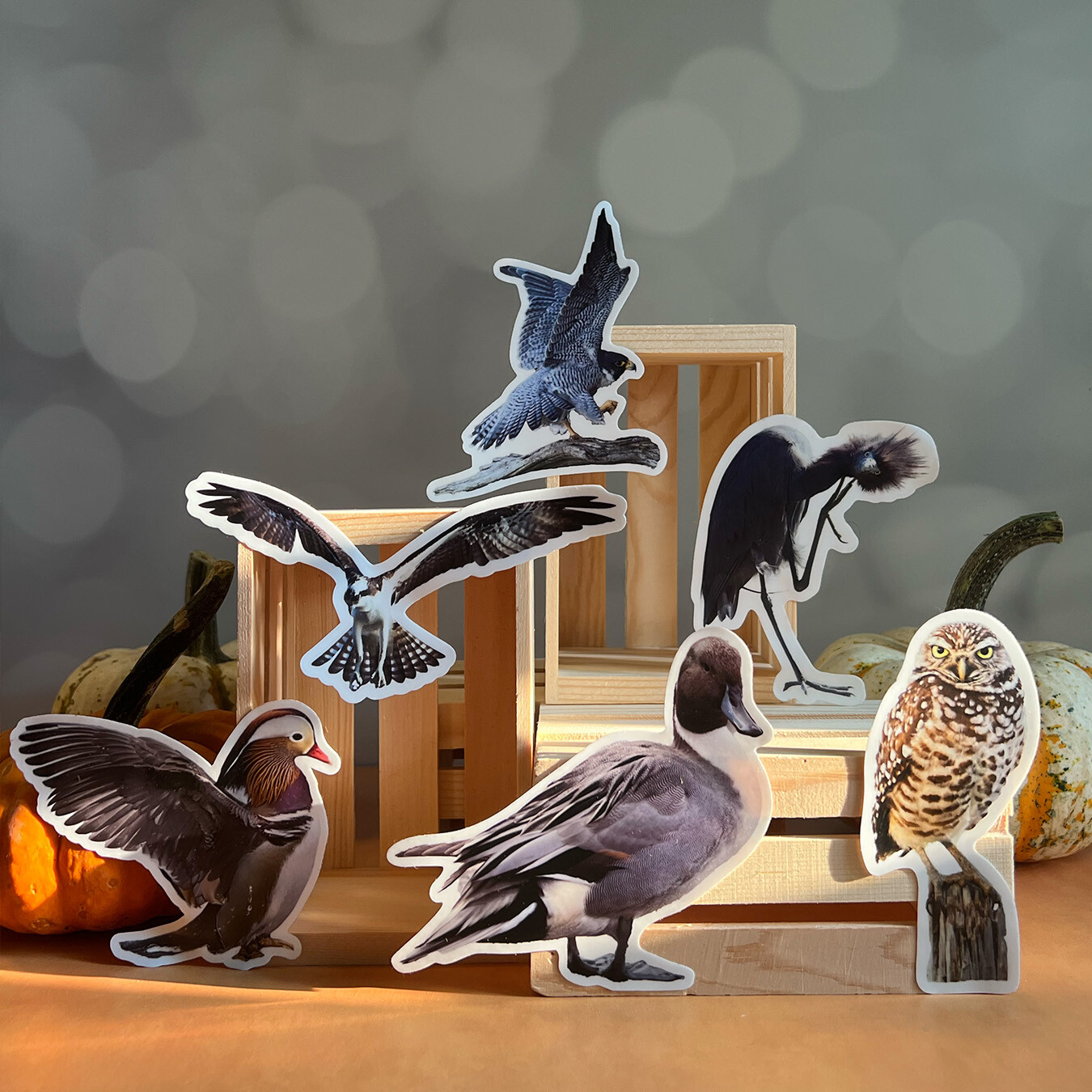 Sticker - Set of 6
