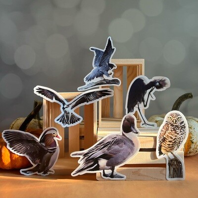 Sticker - Set of 6