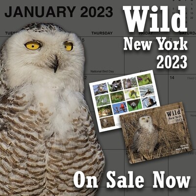 Wild New York Calendar 2023 Wild New York Calendar 2023