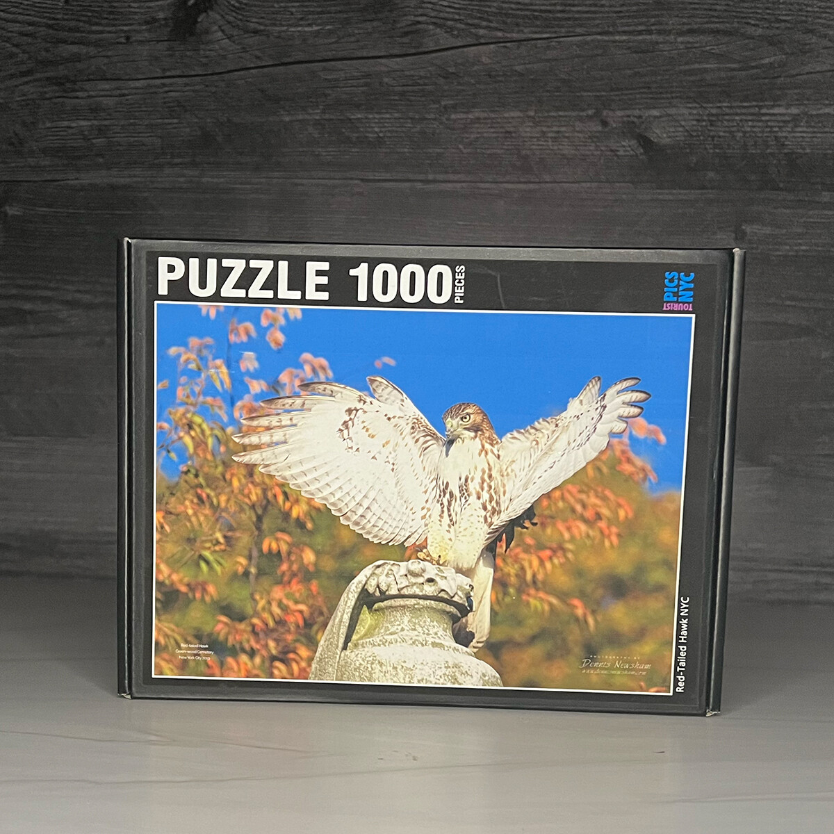 Red-Tailed Hawk at Green-Wood Cemetery Puzzle