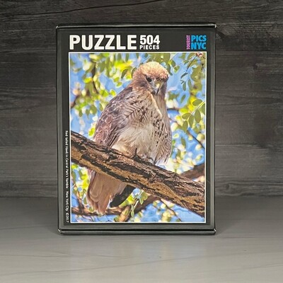 Red-Tailed Hawk Puzzle