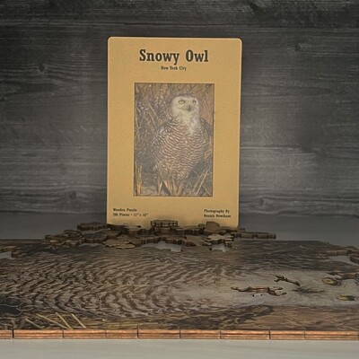 Snowy Owl Wooden Puzzle