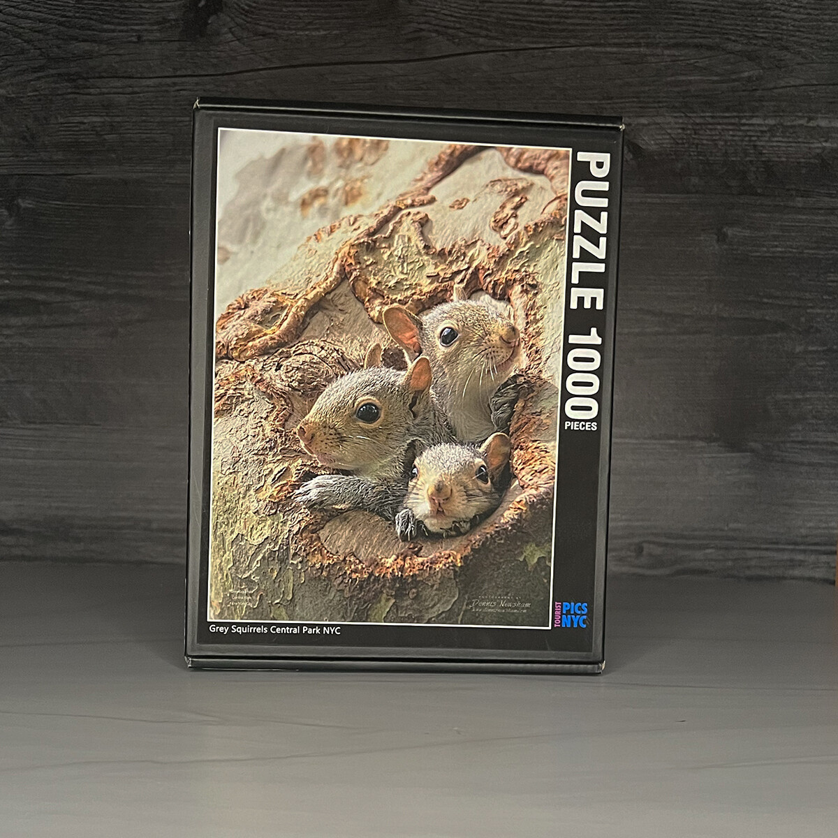 Grey Squirrel Family Puzzle